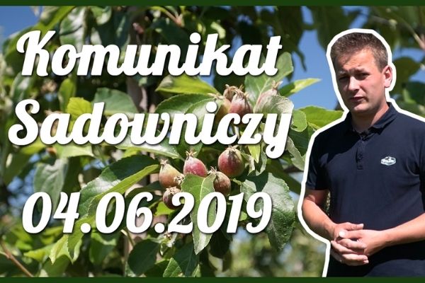Komunikat sadowniczy nr 8 z dnia 04.06.2019 r.